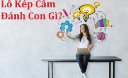 lo kep cam danh con gi