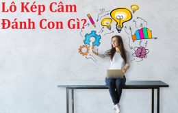 lo kep cam danh con gi