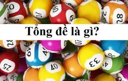 Tổng đề là gì?